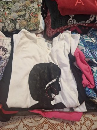 Lote 22 Camisetas, Blusas y Jerseys Talla M-L