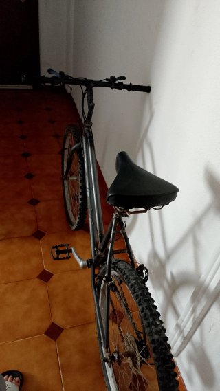 Bicicleta de montaña