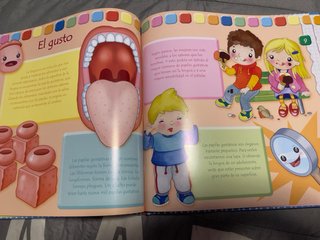 Libros salud : los 5 sentidos