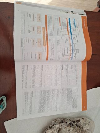 Historia de España 2 bachillerato