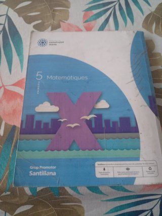 MATEMATIQUES 5 PRIMARIA CONSTRUINT MONS