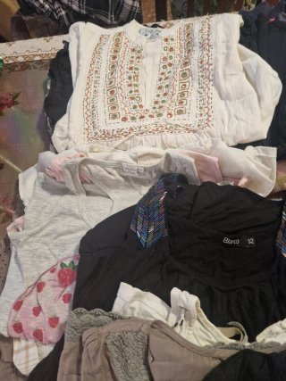 Lote 22 Camisetas, Blusas y Sudaderas Talla XS-S
