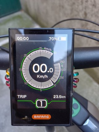 Bicicletta pedalata assistita
