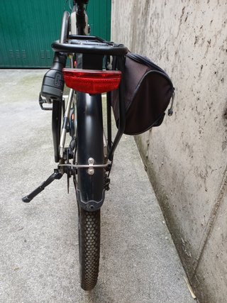 Bicicletta pedalata assistita