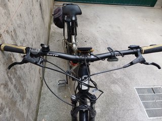 Bicicletta pedalata assistita