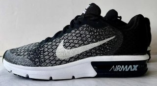 Zapatillas Nike Air Max Negras y Plateadas