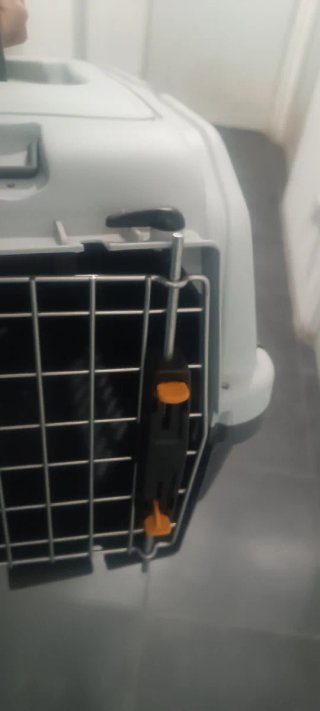 Transportín y colchón para perro