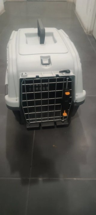 Transportín y colchón para perro