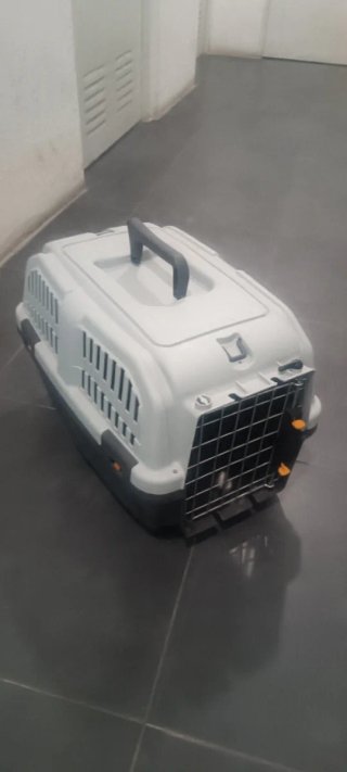 Transportín y colchón para perro