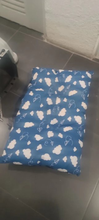 Transportín y colchón para perro