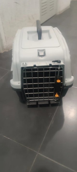 Transportín y colchón para perro