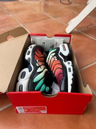 Nike Air Max Plus (Tn) Arcoíris