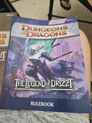 Dungeons & Dragons: The Legend of Drizzt