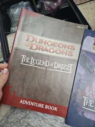 Dungeons & Dragons: The Legend of Drizzt