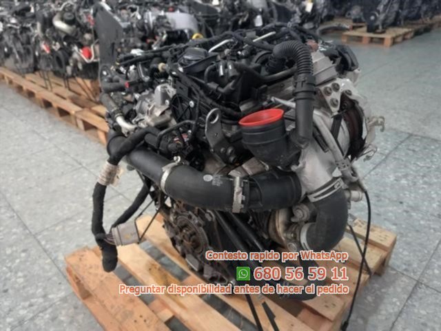 MOTOR COMPLETO DDY Ref:832127