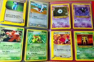 Lote vintage Pokémon WOTC