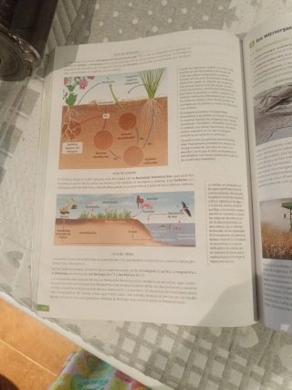 Biología, Geología y Ciencias Ambientales. 1 Ba...