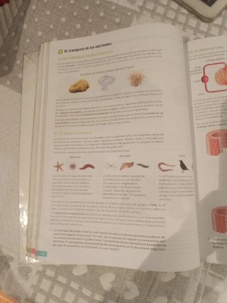 Biología, Geología y Ciencias Ambientales. 1 Ba...