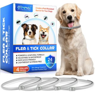 4 Collari per cani