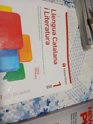 LLENGUA CATALANA I LITERATURA 1 BL (COMUNITAT EX)