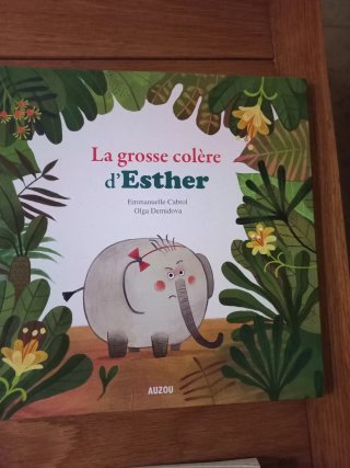 Libros infantiles en francés. 2 € cada uno