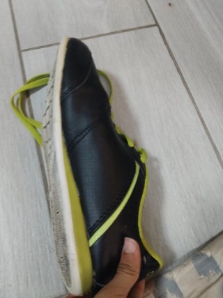 Sapatias   Kappa
