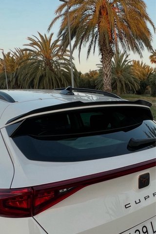 Alerón Maxton Design Cupra Formentor Negro