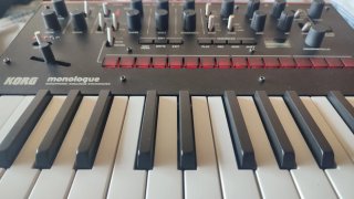Sintetizador Korg Monologue Analógico
