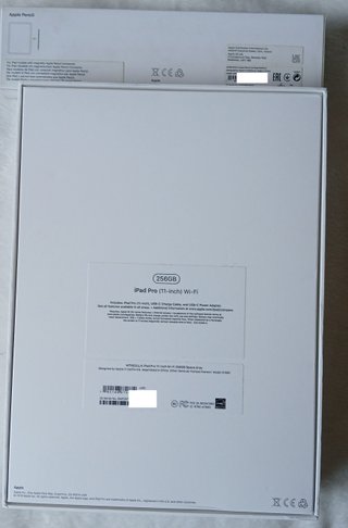 iPad Pro 11 grigio