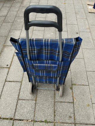 Carro de la compra a cuadros azul