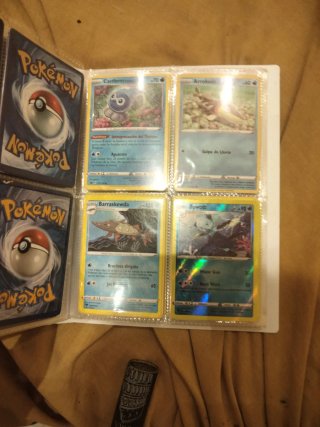 Álbum Pokémon con Terrakion, Thundurus, Blitzle