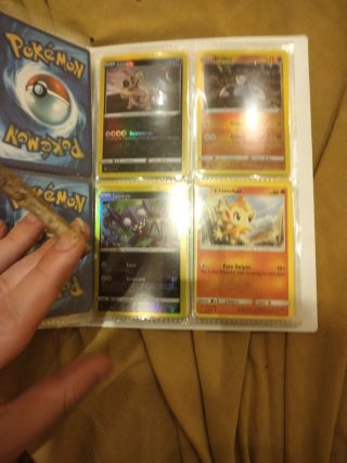 Álbum Pokémon con Terrakion, Thundurus, Blitzle