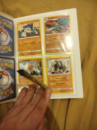 Álbum Pokémon con Terrakion, Thundurus, Blitzle
