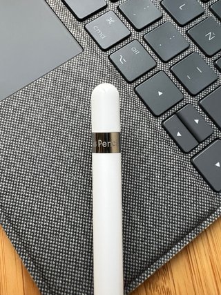Apple Pencil 1ª Gen + Adaptador Original