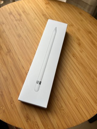 Apple Pencil 1ª Gen + Adaptador Original