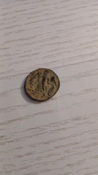 Collezione di Monete Romane Antiche per Studio