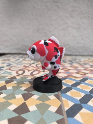Pop Carpa Koi