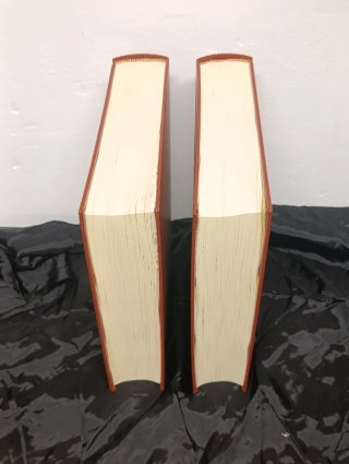 Don Quijote de la Mancha, grabados Gustavo Doré
