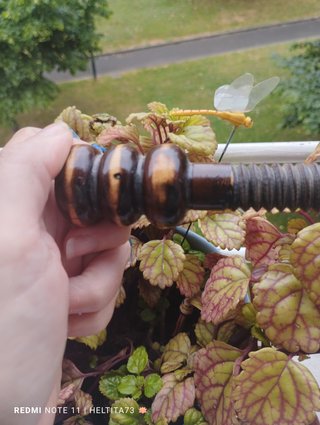 Cascanueces de madera tallada