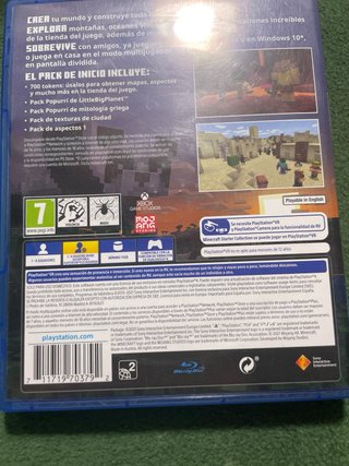 Minecraft PS4 VR compatibile