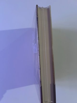 Libro Hija de la Frontera (Premio Minotauro) Nuevo
