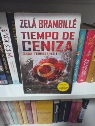 Tiempo de Ceniza