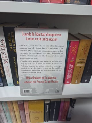 Tiempo de Ceniza