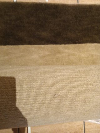 Alfombra Yute Beige y Marrón