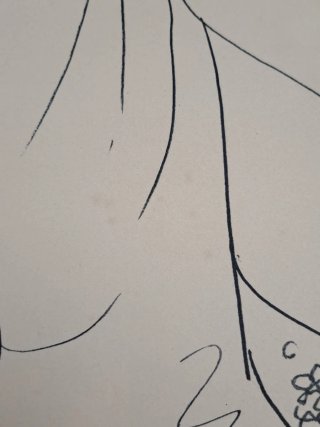 Litografía de Pablo Picasso