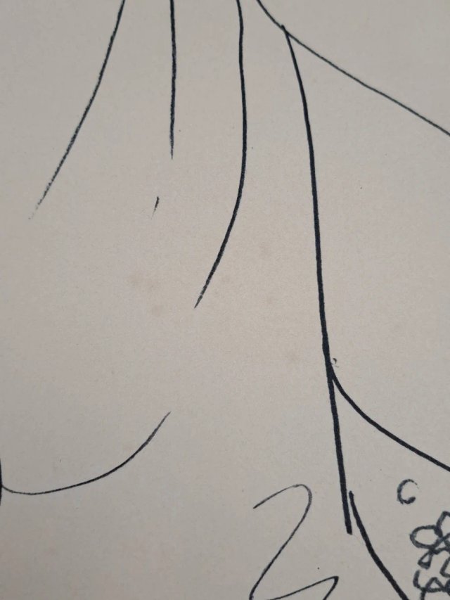 Litografía de Pablo Picasso