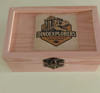 Fósil Diente Megalodón 5-6 cm. Caja Regalo