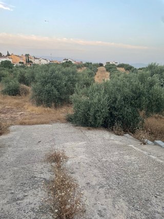 Terreno en venta