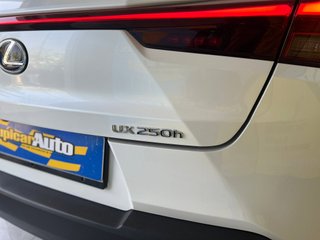 Lexus UX BUSINESS  2.0 HYBRID  184cv auto
