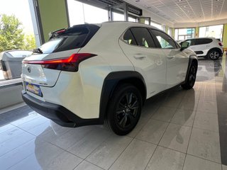 Lexus UX BUSINESS  2.0 HYBRID  184cv auto